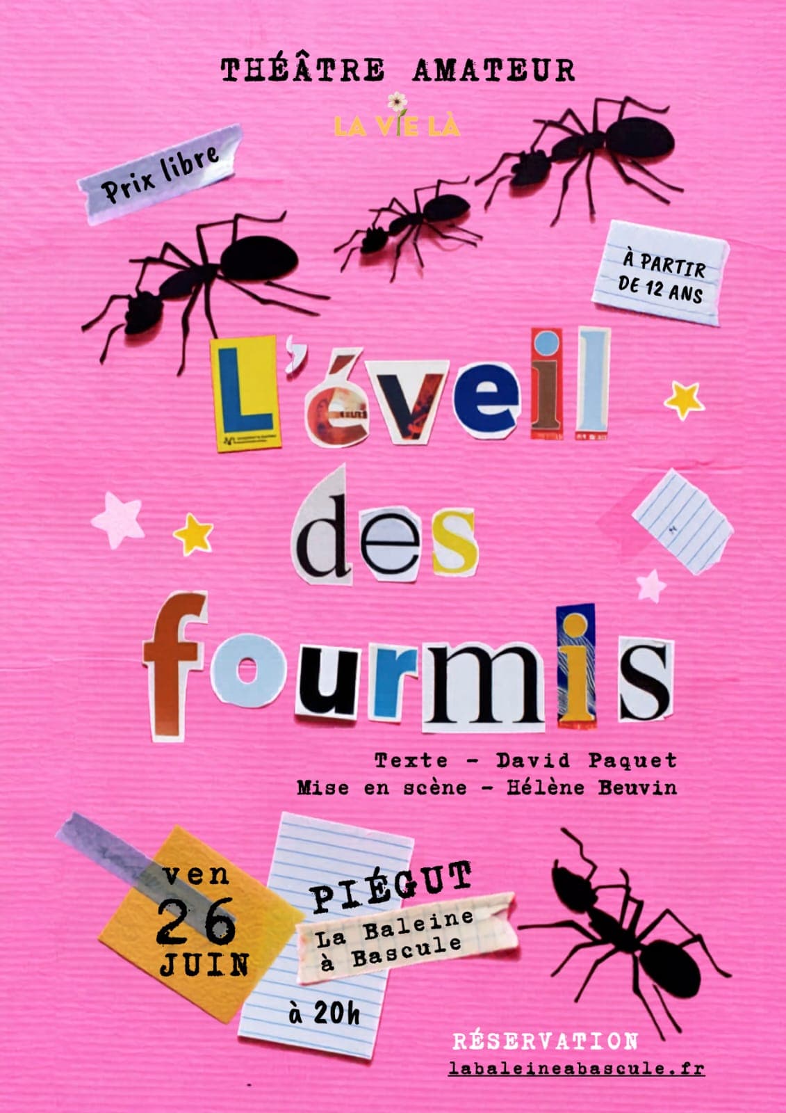 La Castagne / L'éveil des fourmis